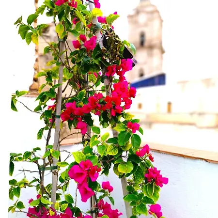 Appartement Calle Nueva